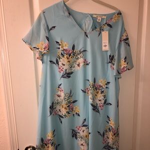 Francesca’s Miami Light Blue Floral Dress